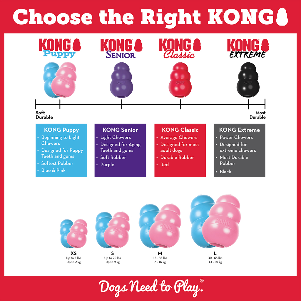 KONG Puppy 1 How to Choose the right Kong Toy for your Puppy Infographic