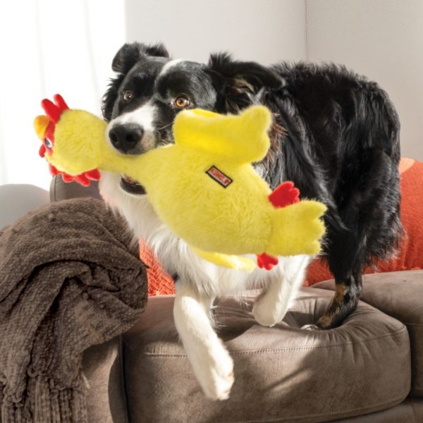 KONG Scruffs Chicken Lifestyle 1080 KONG Scruffs Chicken Lifestyle 1080