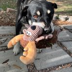 KONG Sherps Floof Moose Lifestyle 1080px