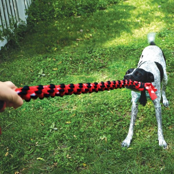 KONG Signature Rope 20in Dual Knot Lifestyle 1024 KONG Signature Rope 20in Dual Knot Lifestyle 1024