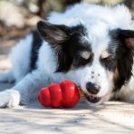 KONG Snacks Liver Small Lifestyle Dog 1024
