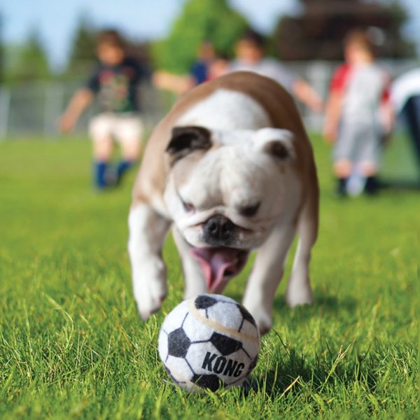 KONG Sport Balls Large Lifestyle 1024 KONG Sport Balls Large Lifestyle 1024