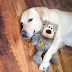 KONG Wild Knots Bear Sml Lifestyle 1024