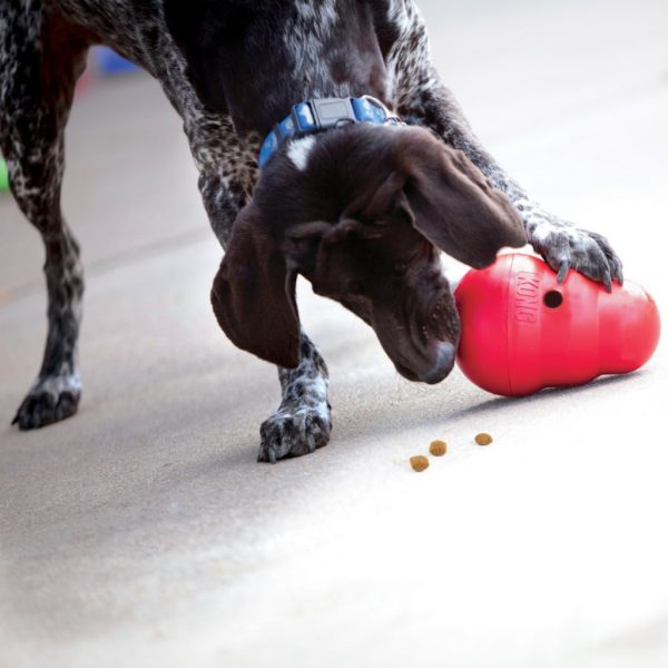 KONG Wobbler Lifestyle 1024 KONG Wobbler Lifestyle 1024