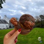 Lamb Testicles in hand 1024