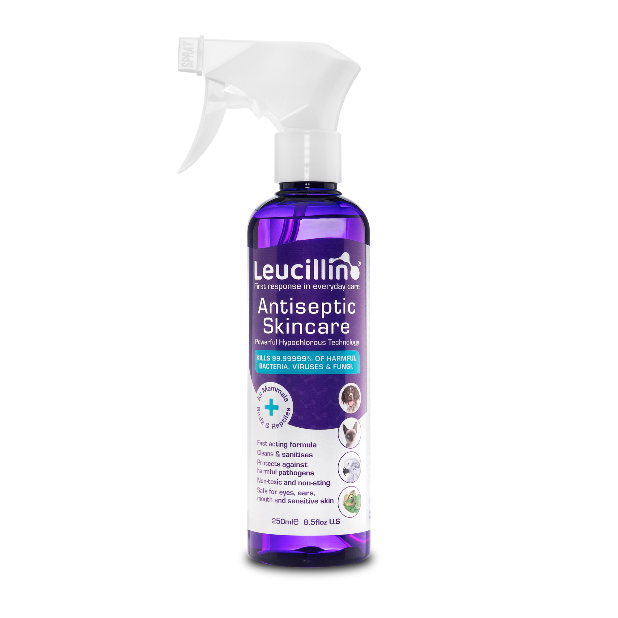 Leucillin Antiseptic Skincare Spray - 250ml Spray