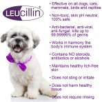 Leucillin Features & Benefits Info with small white dog image
