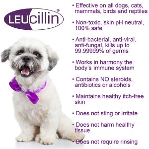 Leucillin Features & Benefits Info with small white dog image
