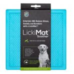 Lickimat Soother Turquoise 1024