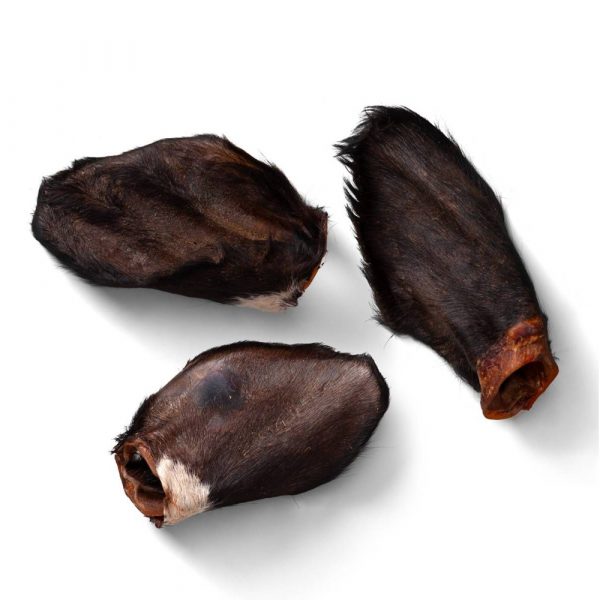 Naw Hairy Beef Ears Open 1000 3 Hairy Cow Ears