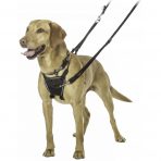 No Pull Harness on Lab 1024