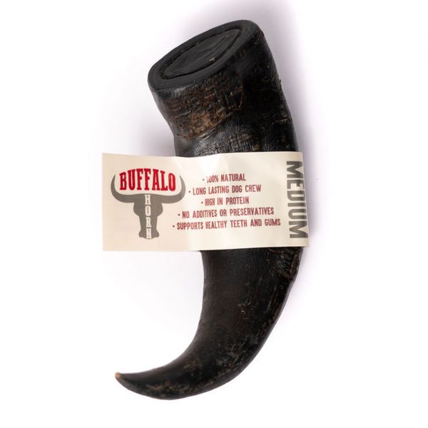 Nova Buffalo Horn Medium2 1024 Nova Buffalo Horn Medium2 1024