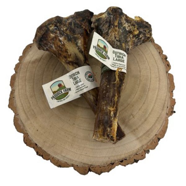 Ostrich Large Tibia 1080