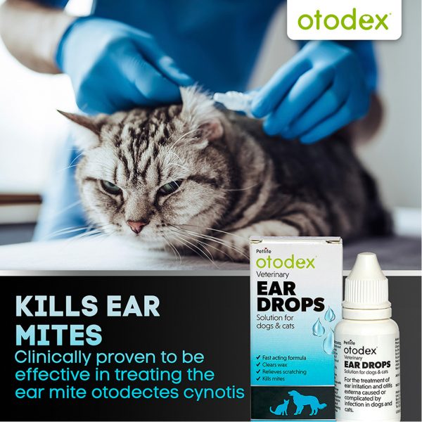 Otodex Ear Drops Kills Mites Cats Infographic 1080 Otodex Ear Drops Kills Mites Cats Infographic 1080