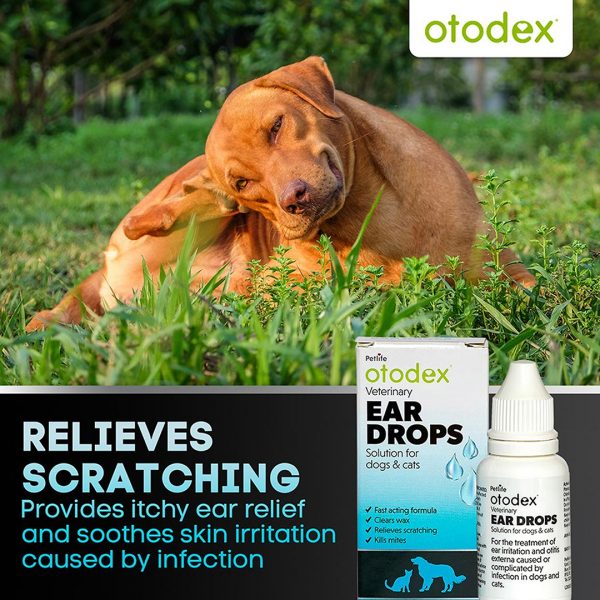 Otodex Ear Drops Scratching Infographic 1080 Otodex Ear Drops Scratching Infographic 1080