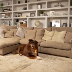 PET-951_HR_MASTER_Lifestyle Ditch the dirt 3