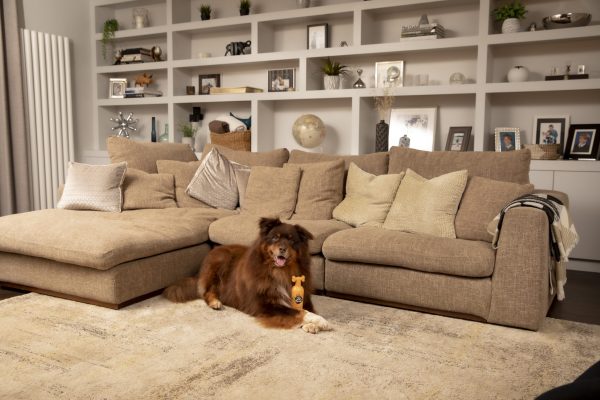 PET-951_HR_MASTER_Lifestyle Ditch the dirt 3 PET-951_HR_MASTER_Lifestyle Ditch the dirt 3