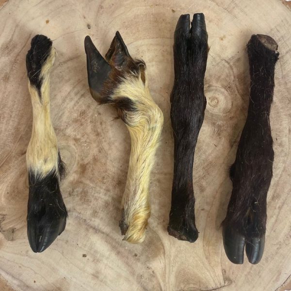Paddock Farm Hairy Lamb Legs on display log 1080px 4 Nova Dog Chews Hairy Lamb Legs on a wooden display plinth