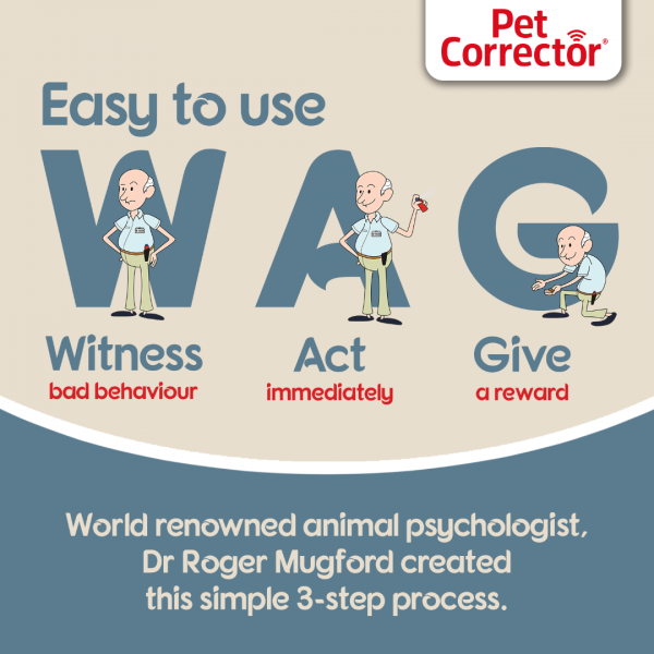 Pet Corrector WAG 1080px Pet Corrector WAG 1080px