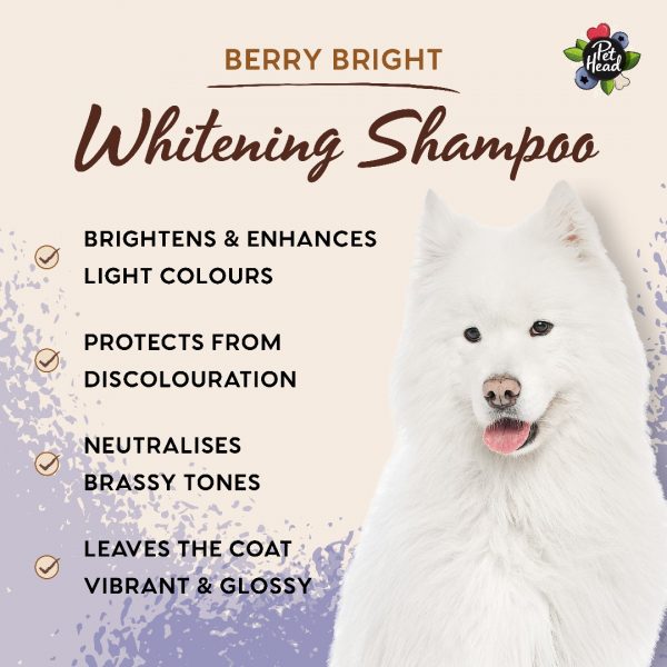 Pet Head Berry Bright Shampoo Benefits 1080px Pet Head Berry Bright Shampoo Benefits 1080px