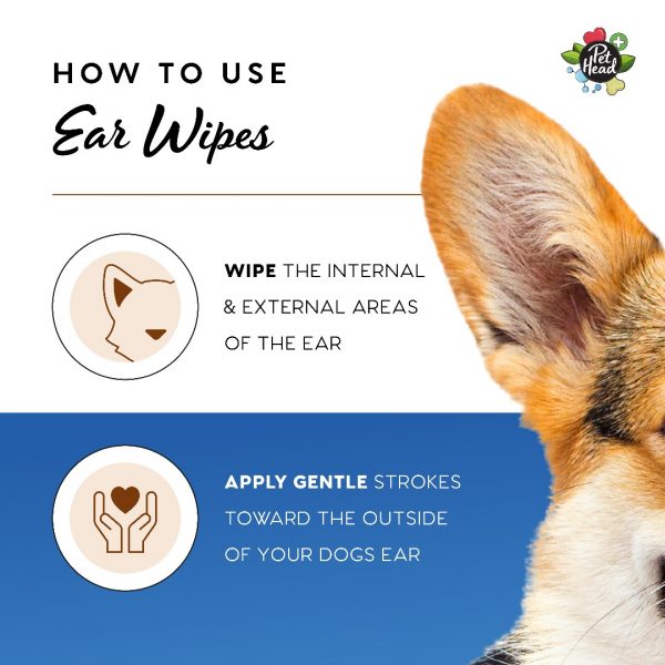 PH_Amazon_Healthcare_Ear_Wipes PH_Amazon_Healthcare_Ear_Wipes