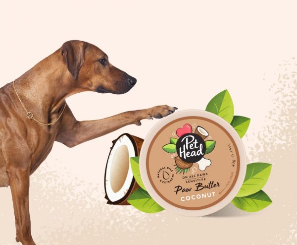 Pet Head Paw Butter Coconut Lifestyle 1080px Pet Head Paw Butter Coconut Lifestyle 1080px