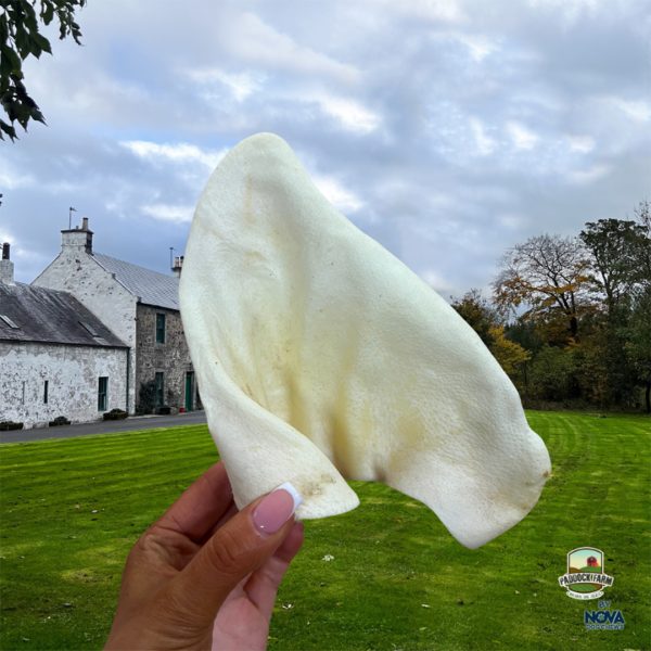 Puffed Pigs Ears in Hand 1080px Puffed Pigs Ears in Hand 1080px