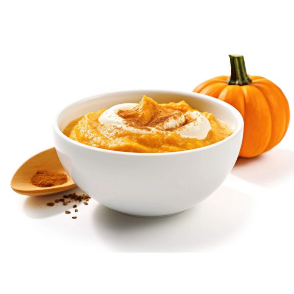 Pumpkinz Powder Puree 1024 Pumpkinz Powder Puree 1024