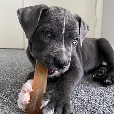 Dog Chews