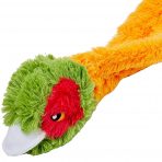 Shaky Pheasant Head 1080px