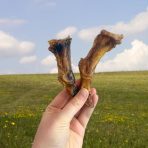 Small-Ostrich-Feet-3