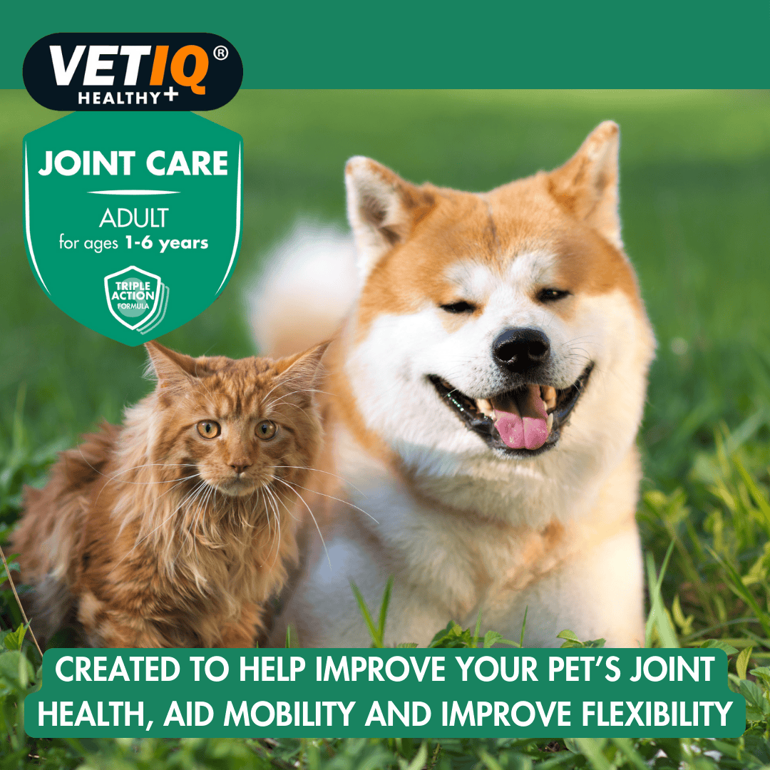 VetIQ Joint Care Tablets for Adult Cats and Dogs - Image 4