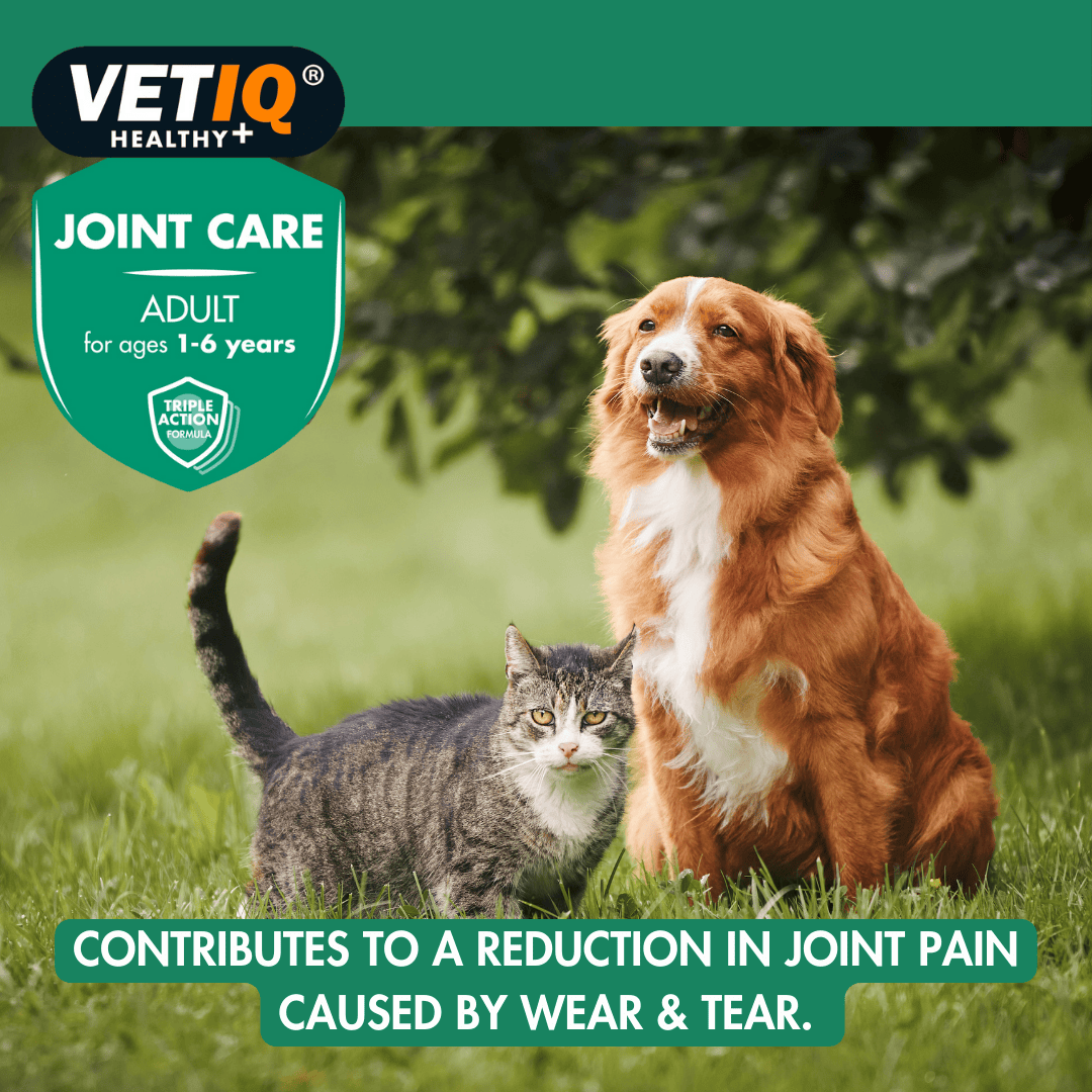 VetIQ Joint Care Tablets for Adult Cats and Dogs - Image 5