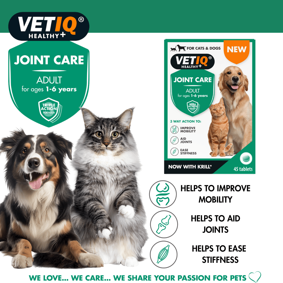 VetIQ Joint Care Tablets for Adult Cats and Dogs - Image 3