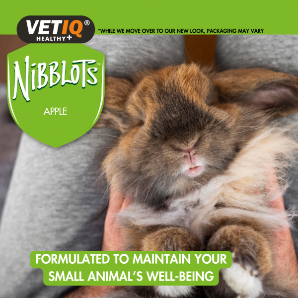 VETIQ Nibblots Apple for Small Animals Lifestyle-1.0 VETIQ Nibblots Apple for Small Animals Lifestyle-1.0
