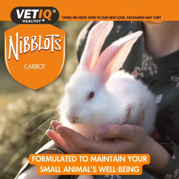 VETIQ Nibblots Carrot for Small Animals Lifestyle-1.0 VETIQ Nibblots Carrot for Small Animals Lifestyle-1.0