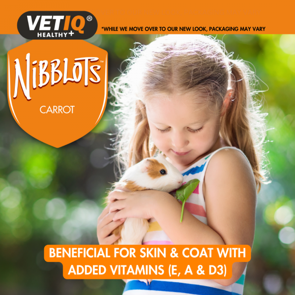 VETIQ Nibblots Carrot for Small Animals Lifestyle-2.0 VETIQ Nibblots Carrot for Small Animals Lifestyle-2.0