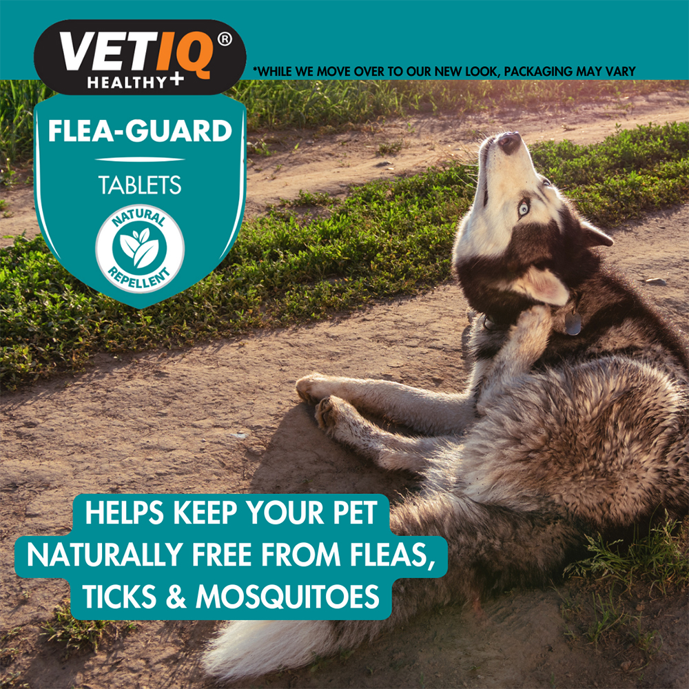 VetIQ Flea Guard Tablets - Natural Flea Repellent for Cats & Dogs 90pack - Image 5