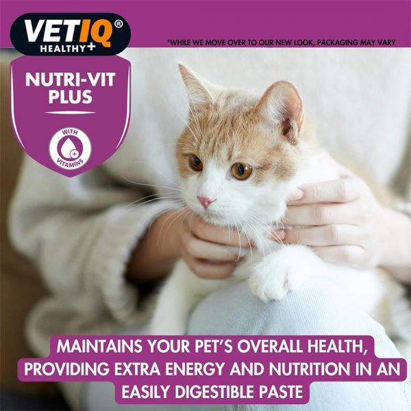 VetIQ Nutri-Vit Cats Benefit Lifestyle 1080 VetIQ Nutri-Vit Cats Benefit Lifestyle 1080