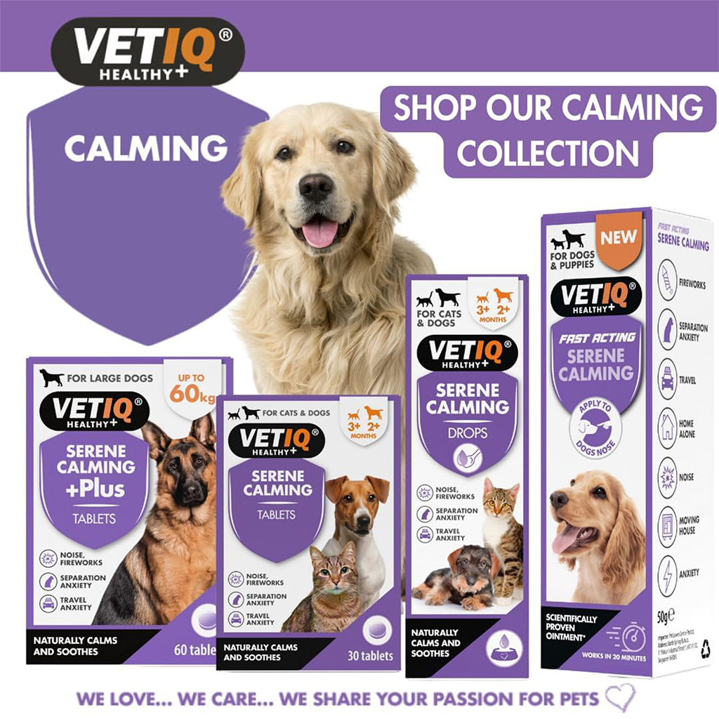 VetIQ Serene Calming Tablets for Cats & Dogs 1-20kg - Image 5