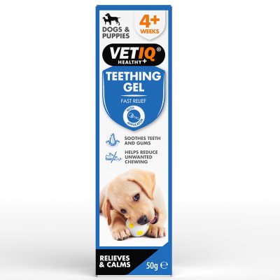 VetIQ Teething Gel Front of Pack with cute Labrador/Retriever puppy chewing a ball