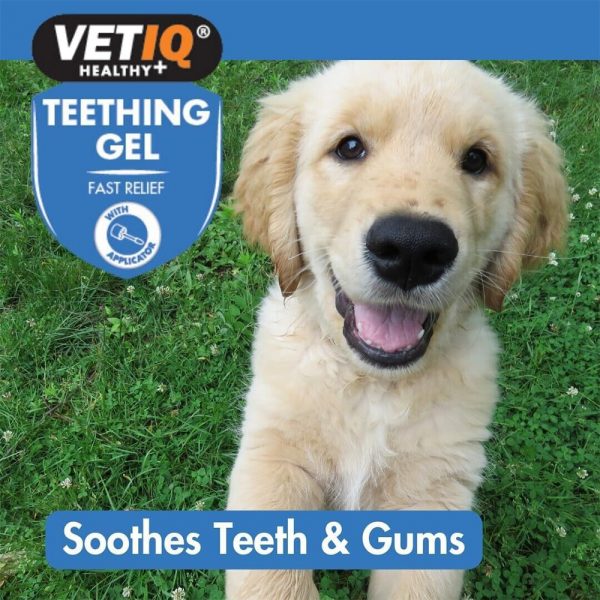 VetIQ Teething Gel New Soothes Gums 1000 VetIQ Teething Gel New Soothes Gums 1000