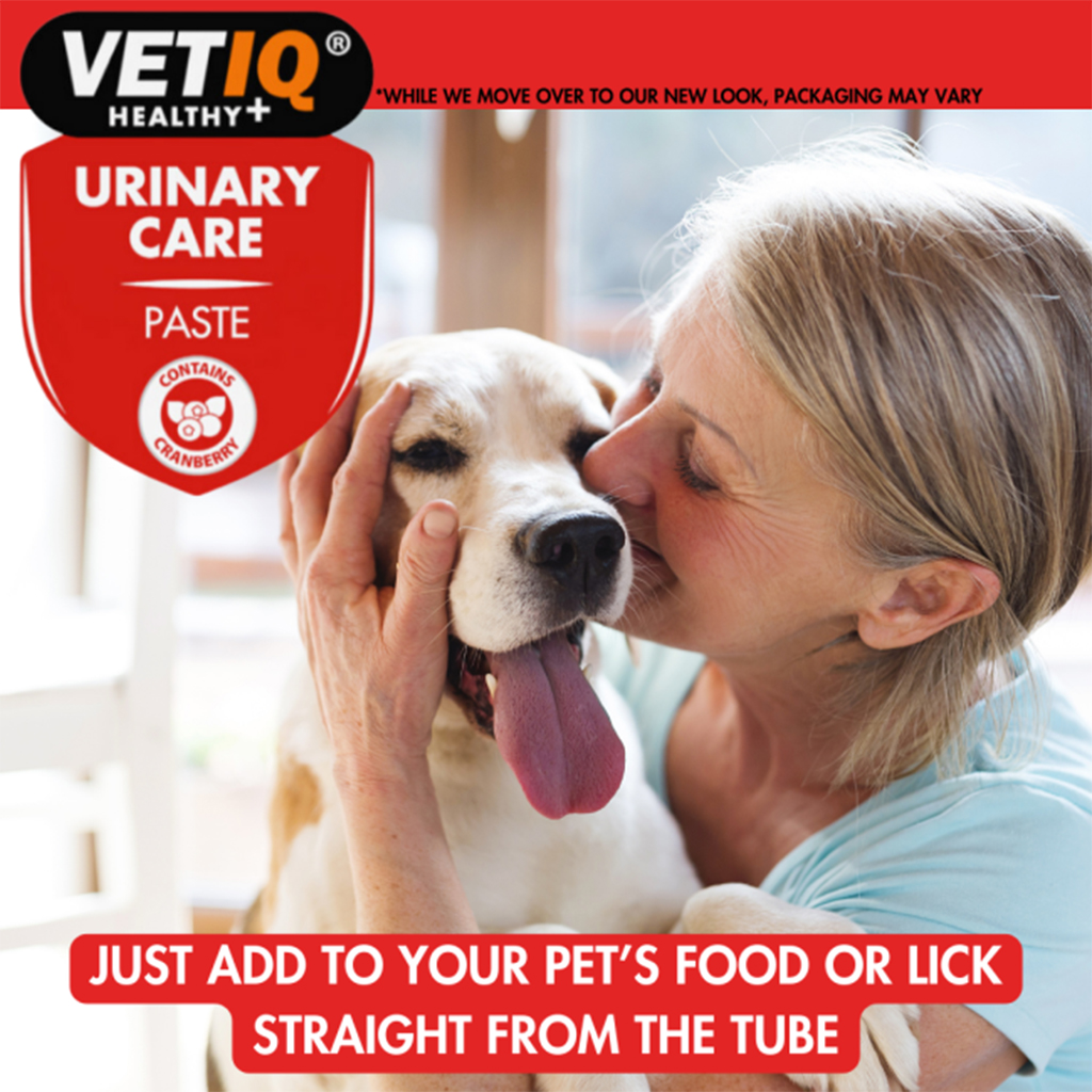 VetIQ Urinary Care Paste - Image 4