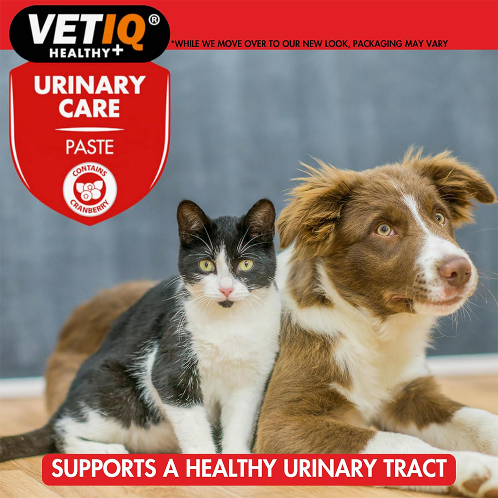 VetIQ Urinary Care Paste - Image 6