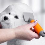 A groomer using the small WAHL nylon slicker brush to carefully style and groom the fluffy white head of a small Bichon Frise or Poodle puppy