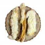 XL-Hairy-Rabbit-skin-2-1
