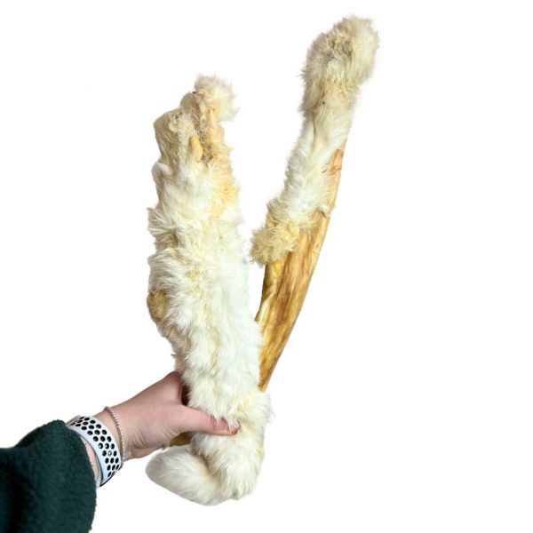XL-Hairy-Rabbit-skin-3 XL-Hairy-Rabbit-skin-3
