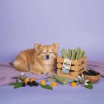 Yakers Calming Lifestyle 1080px