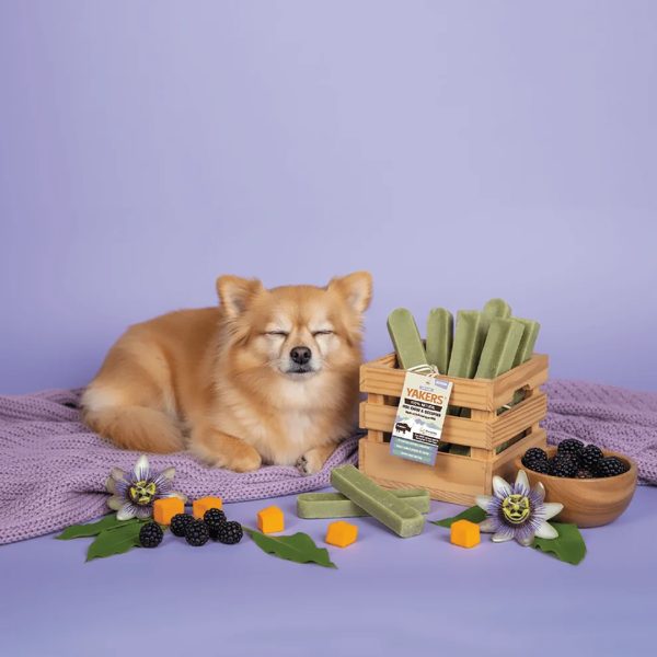 Yakers Calming Lifestyle 1080px Yakers Calming Lifestyle 1080px