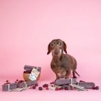 Yakers Cranberry Lifestyle 1080px